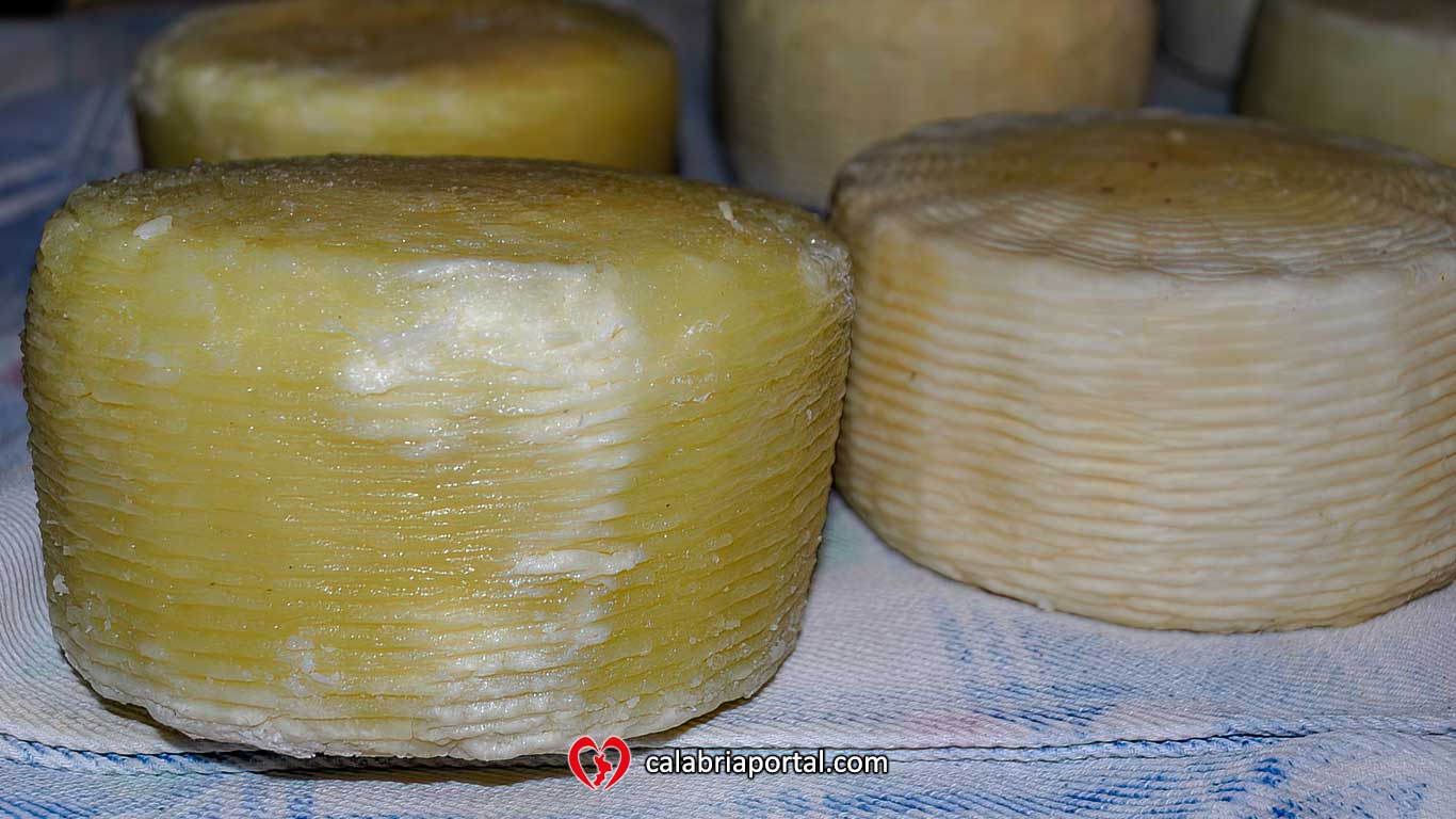 Formaggio Stagionato a Pasta Dura - Azienda Agricola Paletta Franco