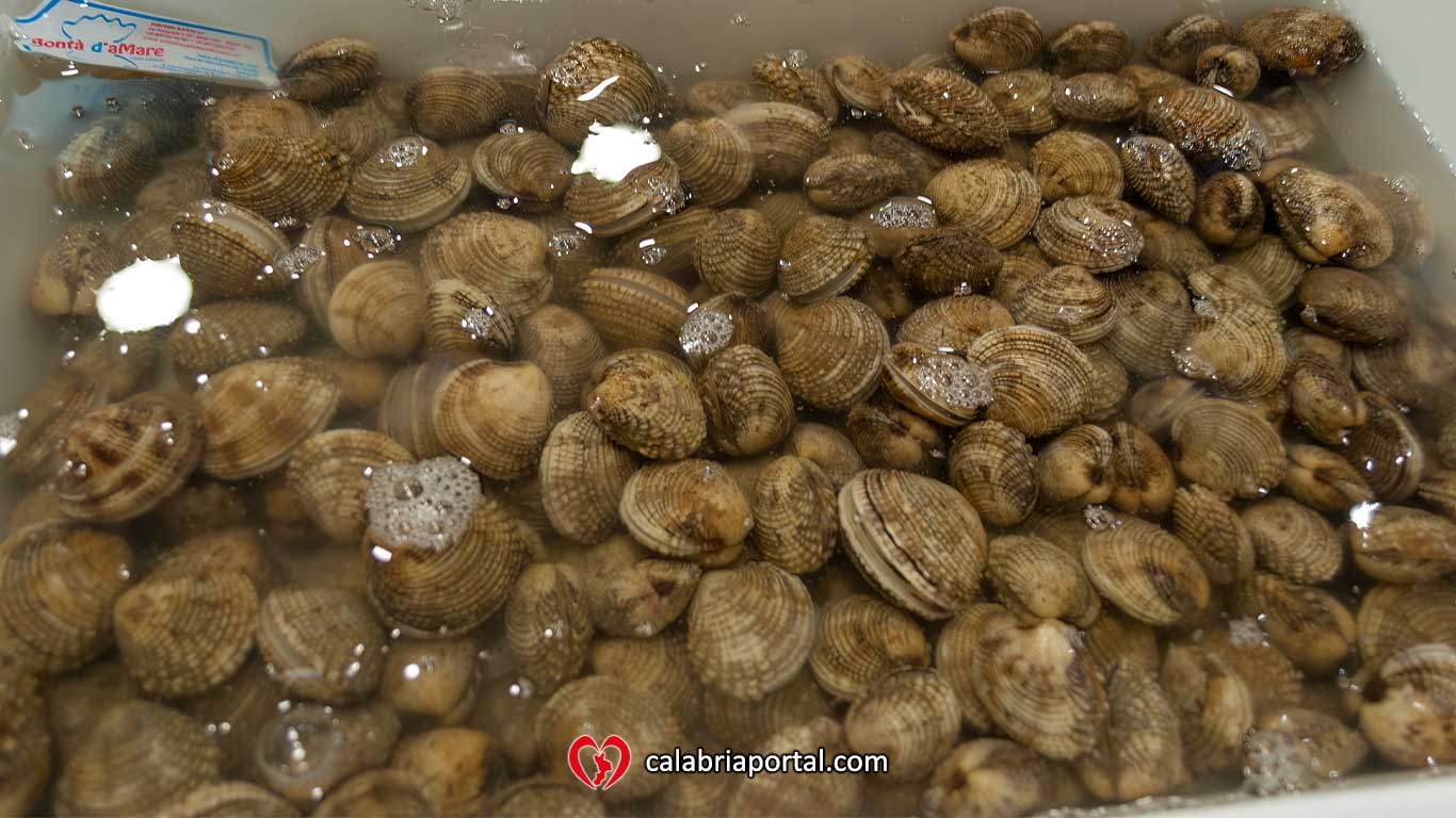 Tartufi di Mare