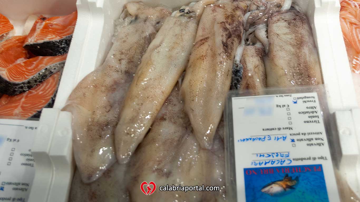 Calamari Freschi