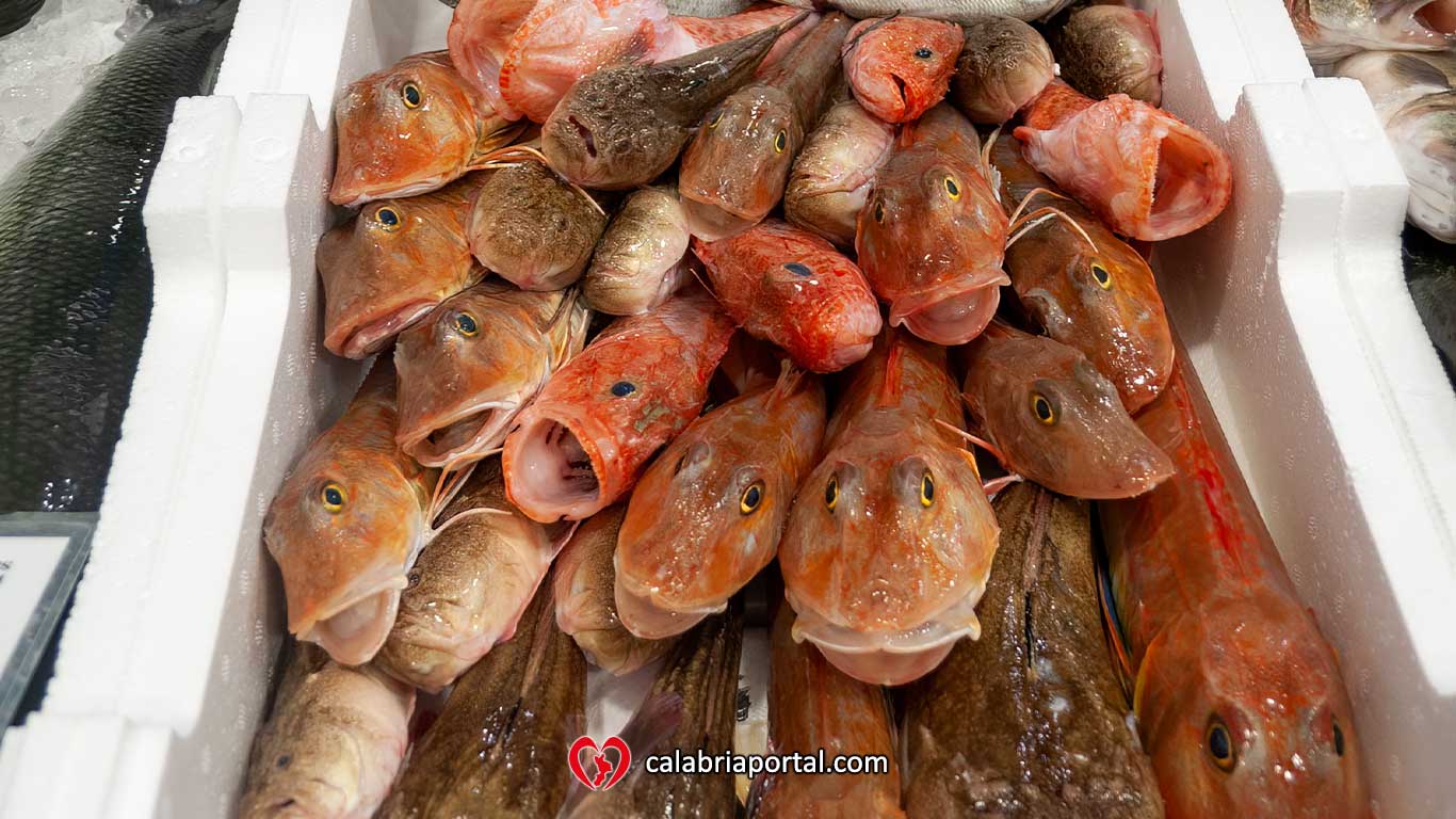 Pesce Fresco