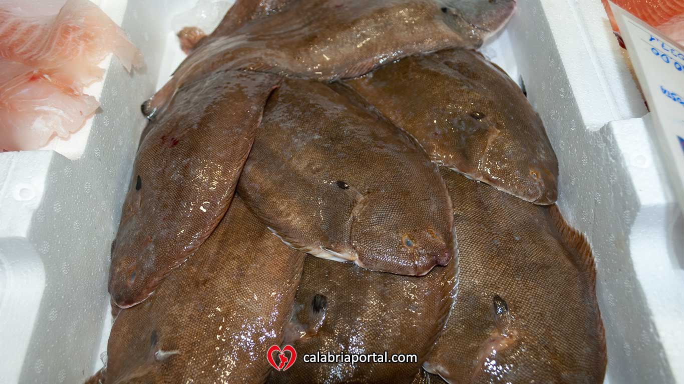 Pesce Fresco