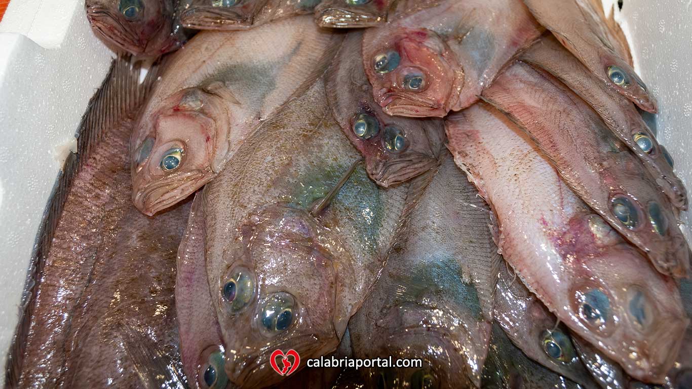 Pesce Fresco