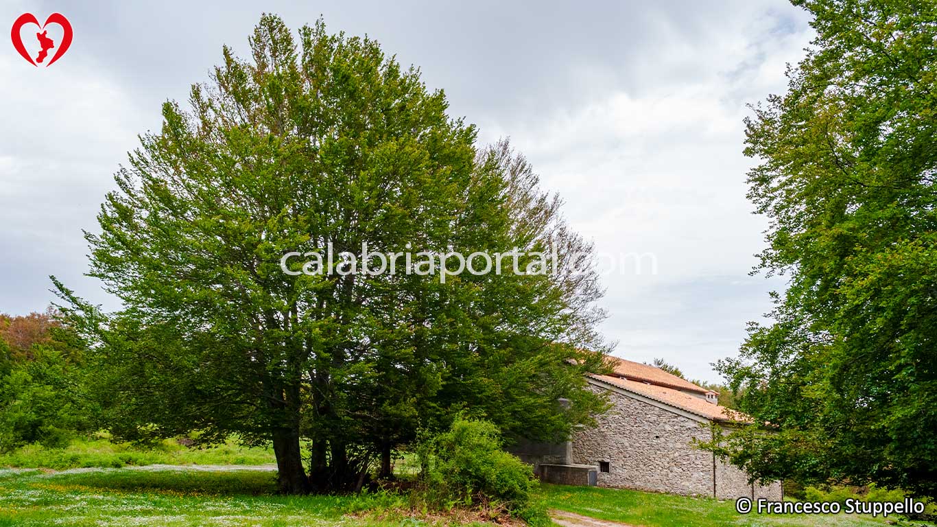 Area Picnic nei pressi del Santuario di Santa Maria del Monte ad Acquaformosa (CS) Area Picnic nei pressi del Santuario di Santa Maria del Monte ad Acquaformosa (CS)