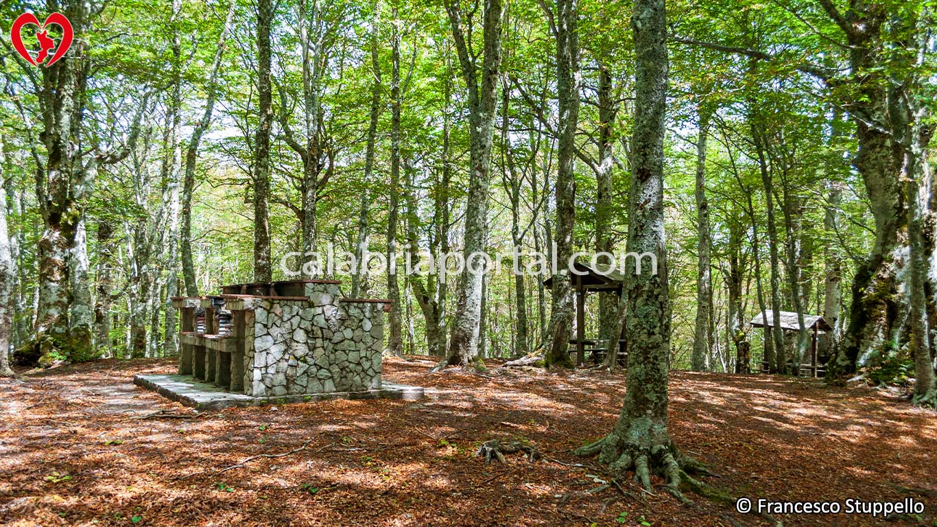 Area Picnic nei pressi del Santuario di Santa Maria del Monte ad Acquaformosa (CS) Area Picnic nei pressi del Santuario di Santa Maria del Monte ad Acquaformosa (CS)