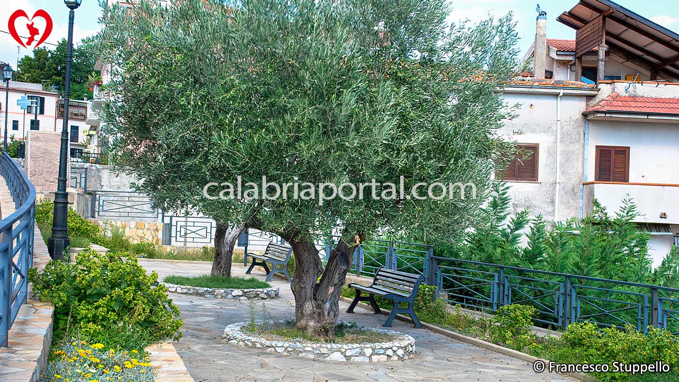Scorcio di Acquaformosa (CS) Scorcio di Acquaformosa (CS)