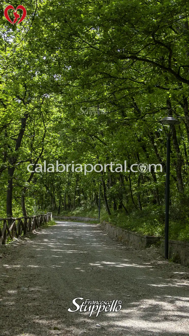 Scorcio della strada che costeggia il Lago Farneto Scorcio della strada che costeggia il Lago Farneto