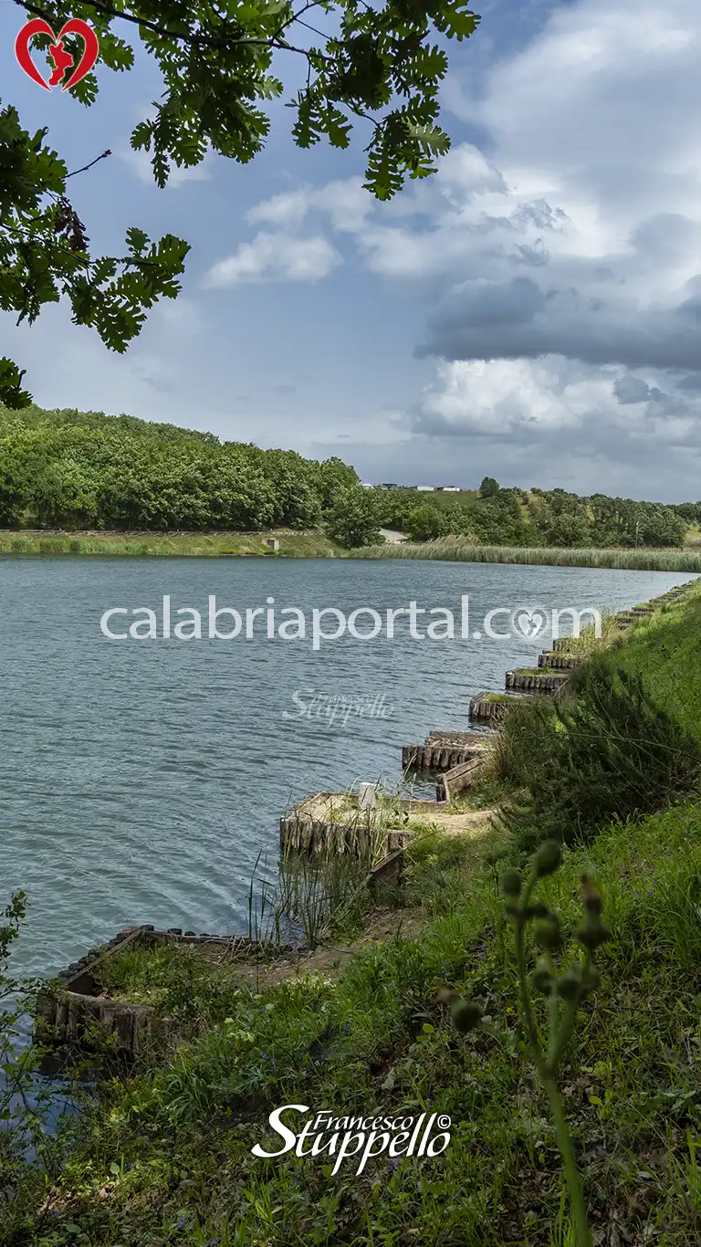Stazioni di posta per la pesca sul Lago Farneto Stazioni di posta per la pesca sul Lago Farneto