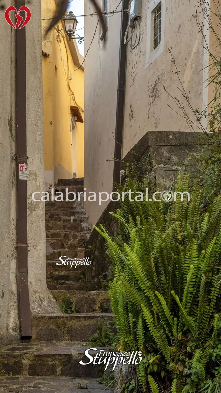 Scorcio del Centro Storico di Buonvicino