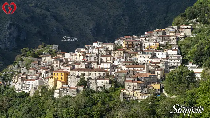 Buonvicino
