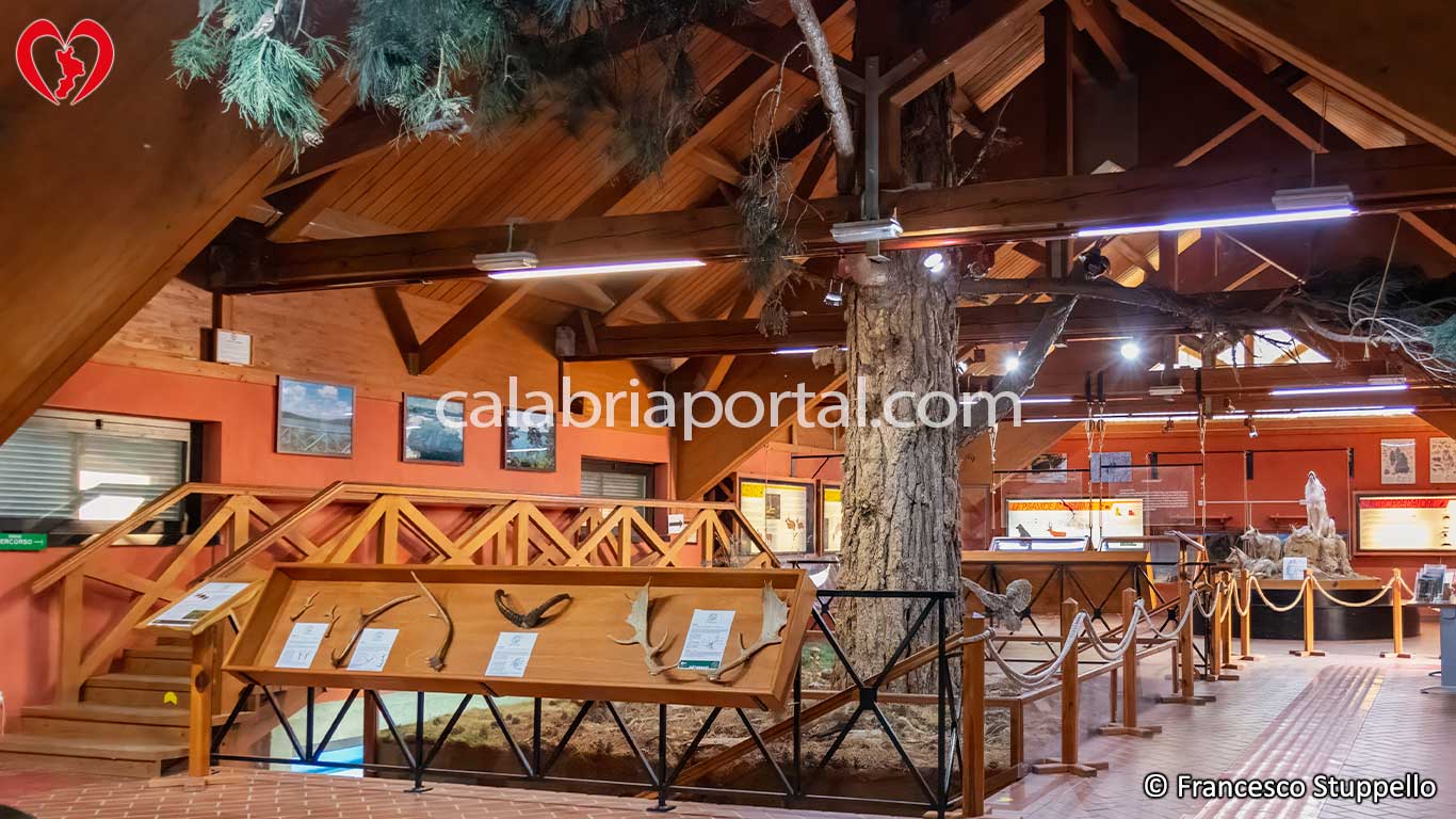 Museo Naturalistico del Parco Nazionale della Sila Museo Naturalistico del Parco Nazionale della Sila