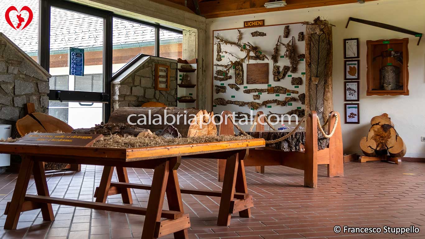 Museo Naturalistico del Parco Nazionale della Sila Museo Naturalistico del Parco Nazionale della Sila