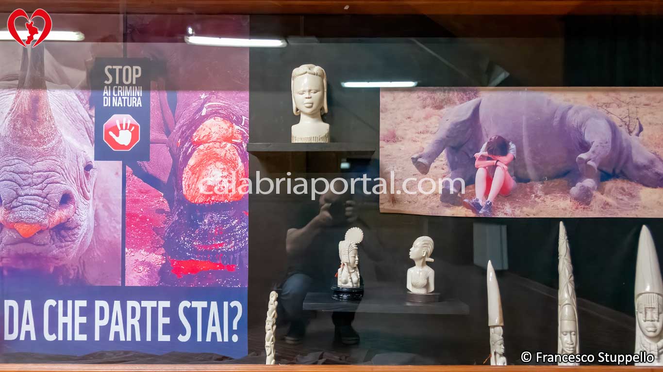 Museo Naturalistico del Parco Nazionale della Sila Museo Naturalistico del Parco Nazionale della Sila