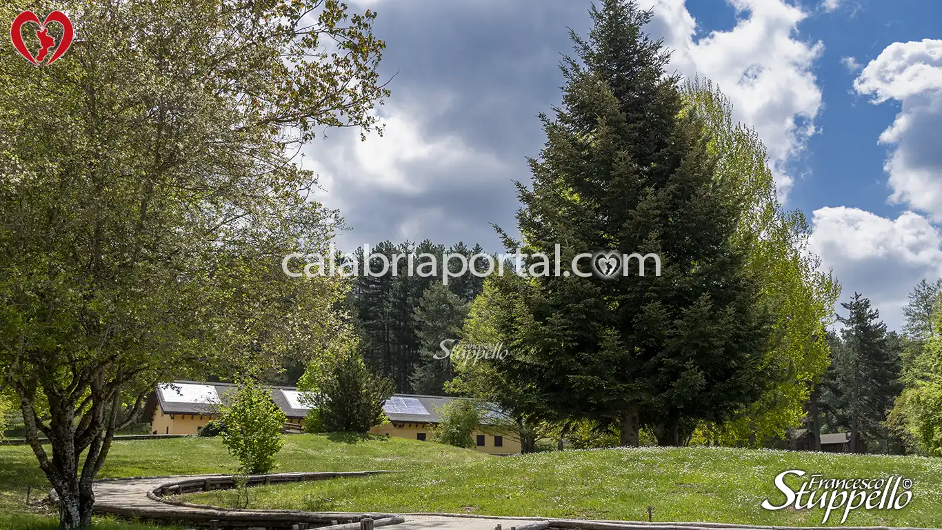 Scorcio del Centro Visite Cupone del Parco Nazionale della Sila Scorcio del Centro Visite Cupone del Parco Nazionale della Sila