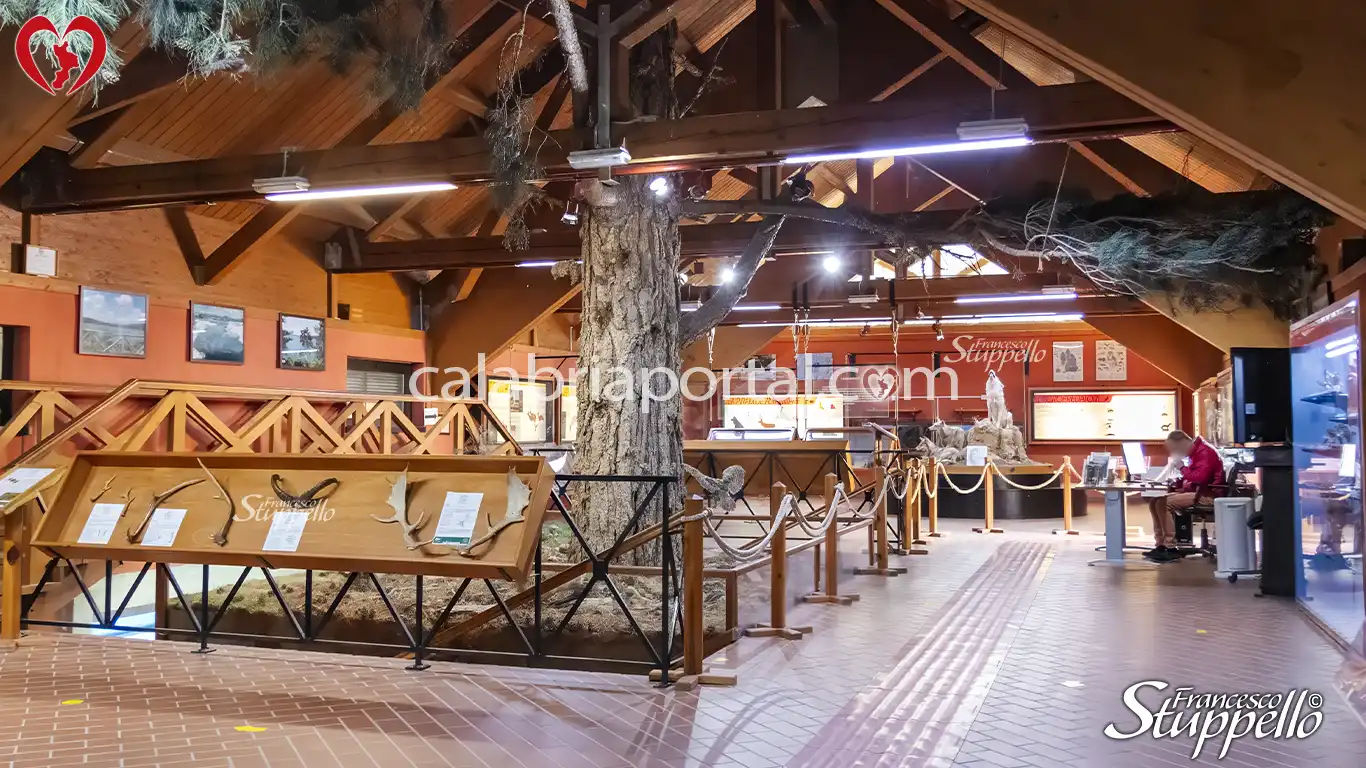 Museo Naturalistico del Centro Visite Cupone del Parco Nazionale della Sila Museo Naturalistico del Centro Visite Cupone del Parco Nazionale della Sila