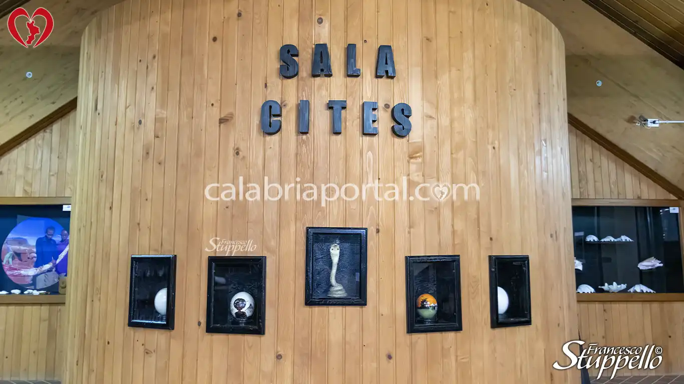 Museo Naturalistico del Centro Visite Cupone del Parco Nazionale della Sila Museo Naturalistico del Centro Visite Cupone del Parco Nazionale della Sila