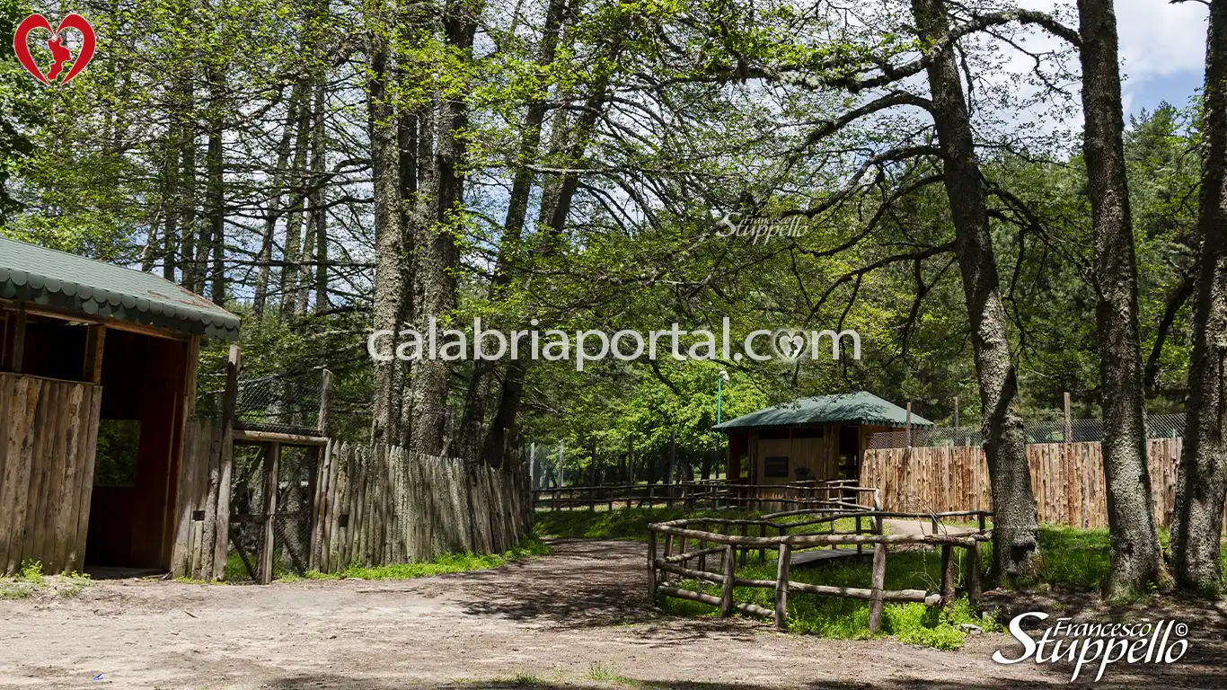 Punto di Osservazione del Centro Visite Cupone del Parco Nazionale della Sila Punto di Osservazione del Centro Visite Cupone del Parco Nazionale della Sila