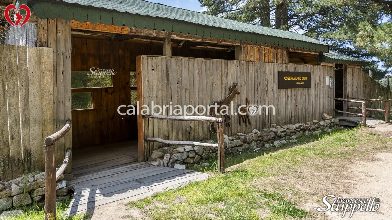 Punto di Osservazione del Centro Visite Cupone del Parco Nazionale della Sila Punto di Osservazione del Centro Visite Cupone del Parco Nazionale della Sila