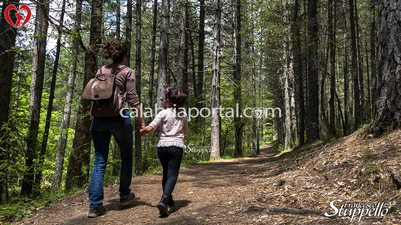 Sentieri del Centro Visite Cupone del Parco Nazionale della Sila Sentieri del Centro Visite Cupone del Parco Nazionale della Sila