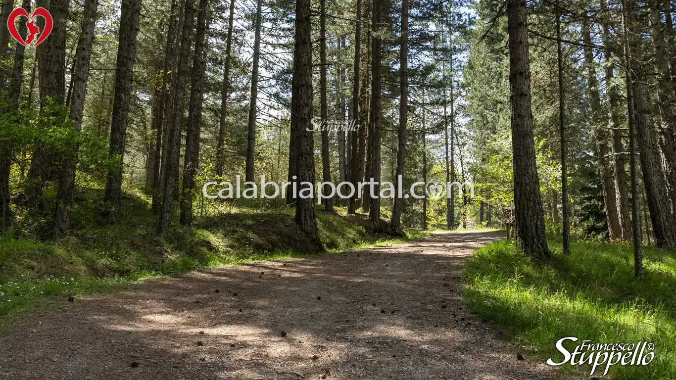Sentieri del Centro Visite di Cupone del Parco Nazionale della Sila Sentieri del Centro Visite di Cupone del Parco Nazionale della Sila