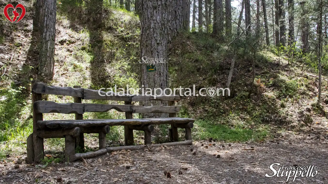 Scorcio dei Sentieri del Centro Visite di Cupone del Parco Nazionale della Sila Scorcio dei Sentieri del Centro Visite di Cupone del Parco Nazionale della Sila