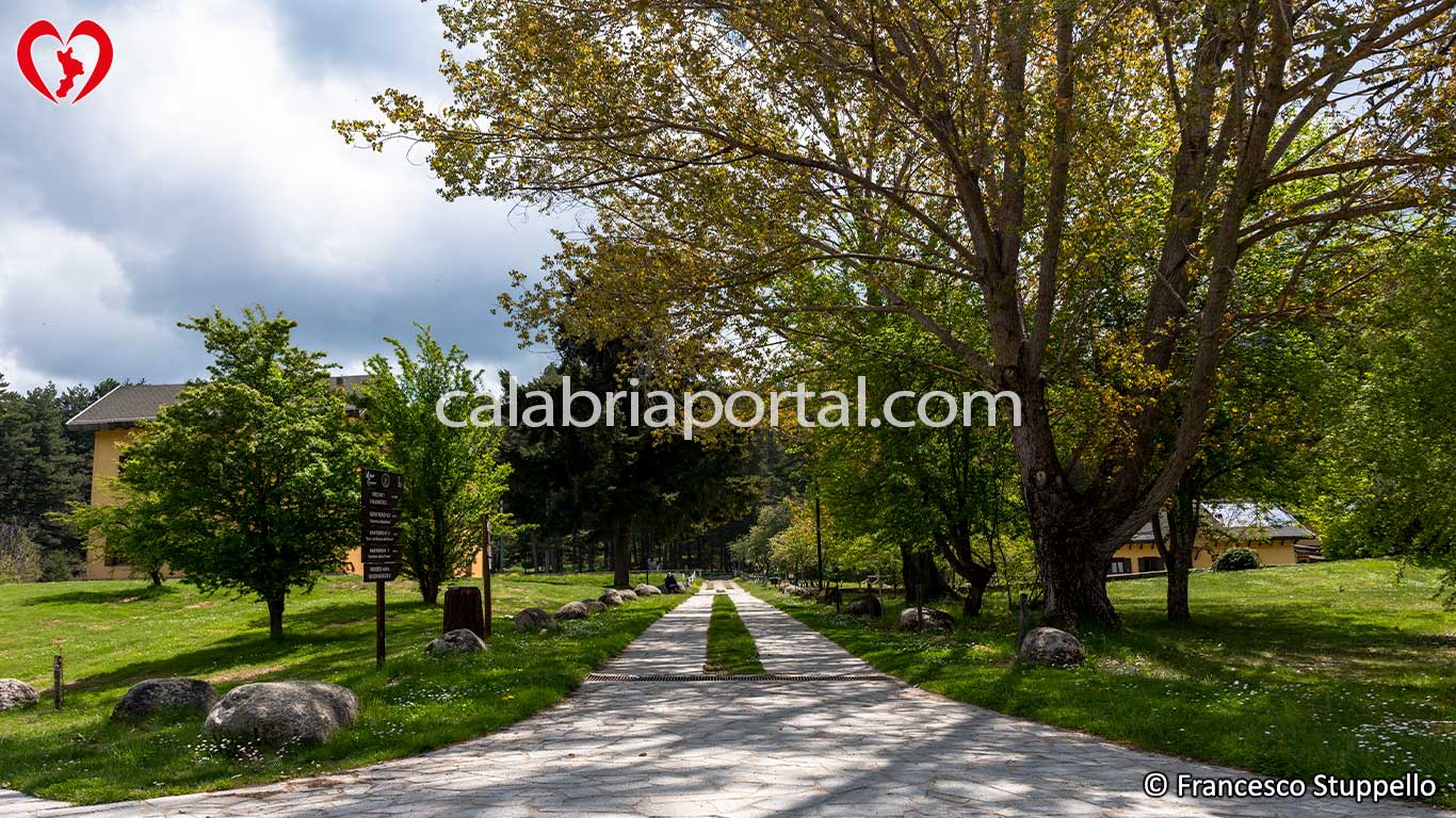 Parco Nazionale della Sila: Il Centro Visite di Cupone Parco Nazionale della Sila: Il Centro Visite di Cupone