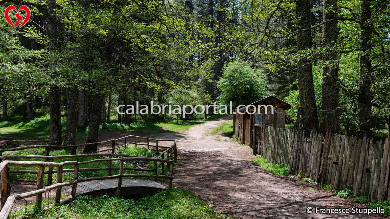 Recinti Faunistici del Centro Visita di Cupone: Parco Nazionale della Sila Recinti Faunistici del Centro Visita di Cupone: Parco Nazionale della Sila