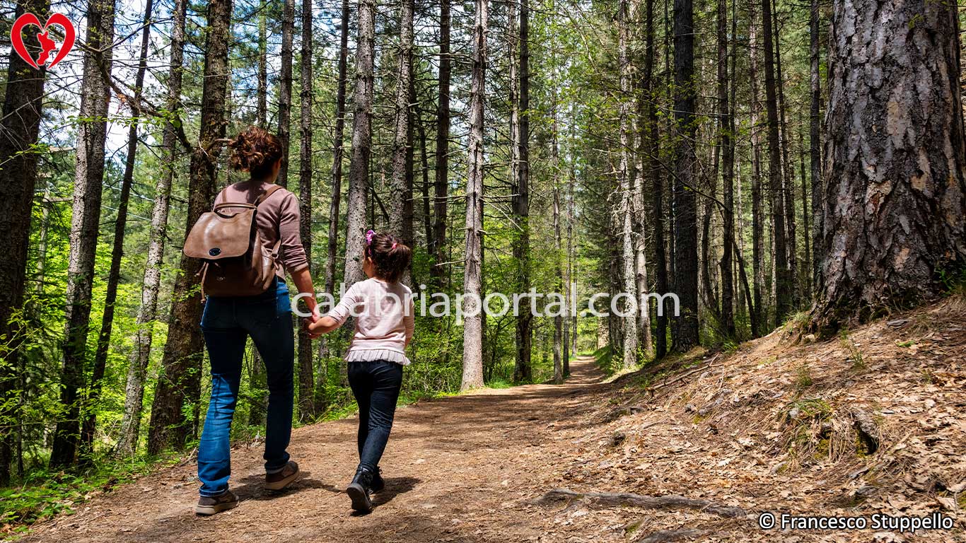 Parco Nazionale della Sila: i Sentieri Naturalistici del Centro Visita Cupone Parco Nazionale della Sila: i Sentieri Naturalistici del Centro Visita Cupone