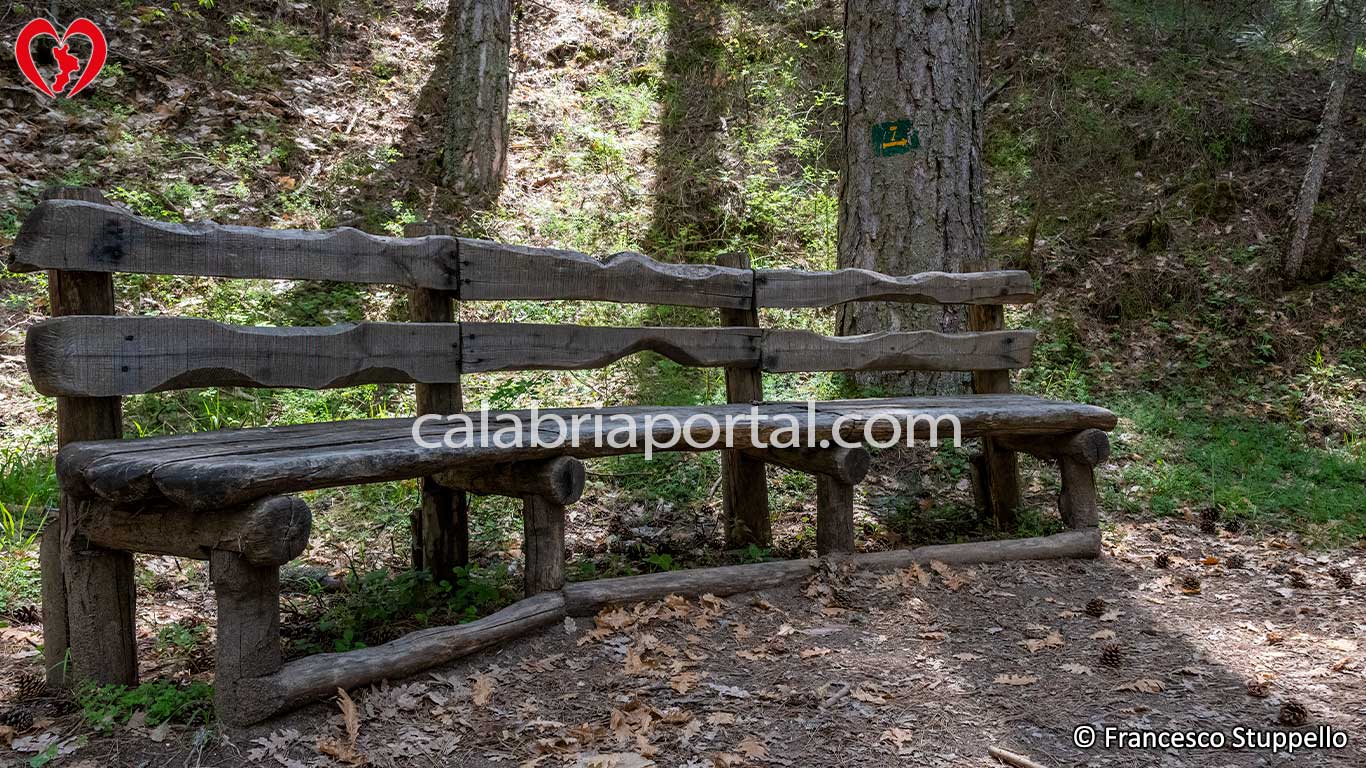 Parco Nazionale della Sila: i Sentieri Naturalistici del Centro Visita Cupone