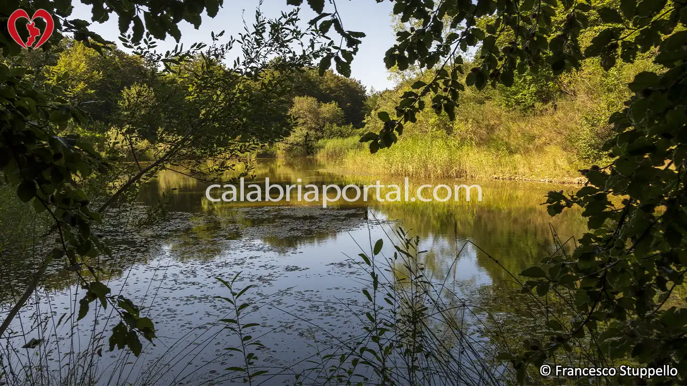 Lago Pressico a Cetraro (CS) Lago Pressico a Cetraro (CS)