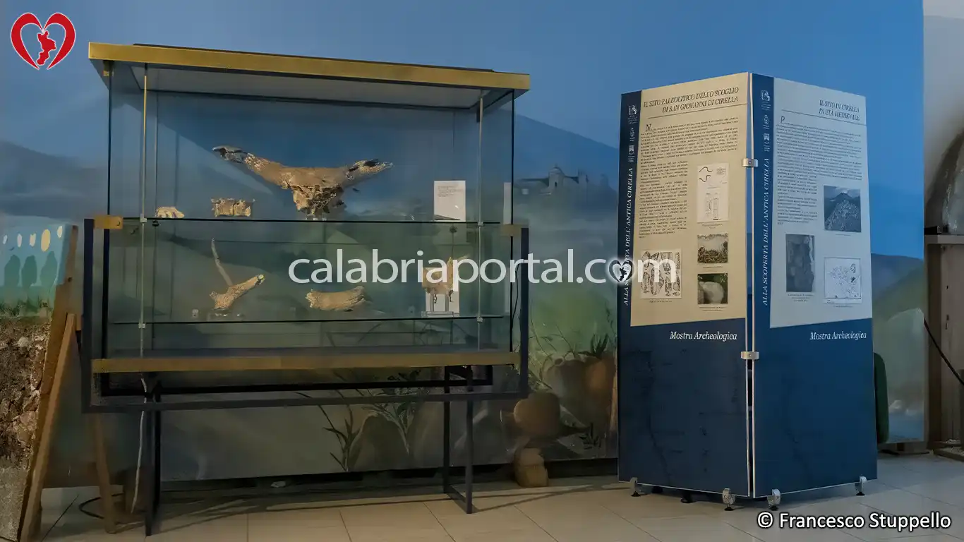 Esposizione Paleotologica dell'Antiquarium di Cirella (CS)