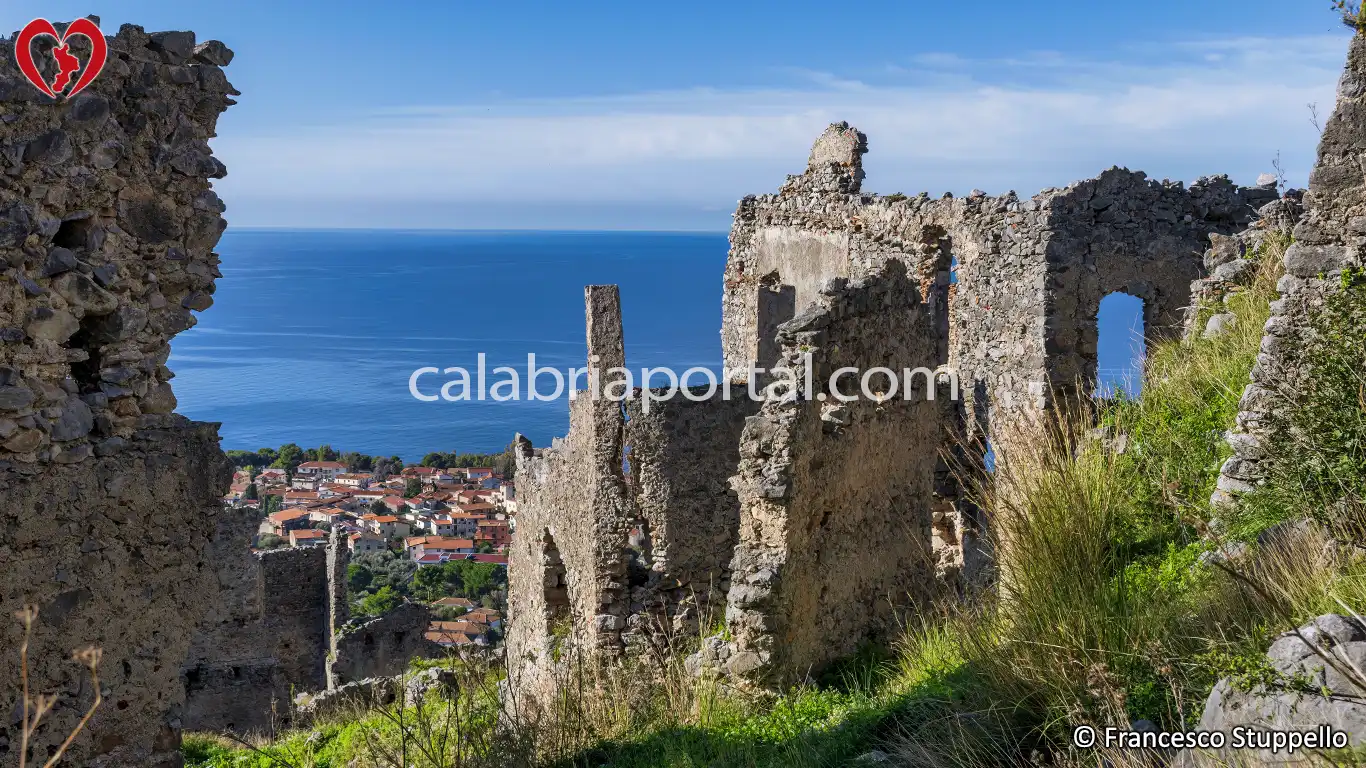 Cirella