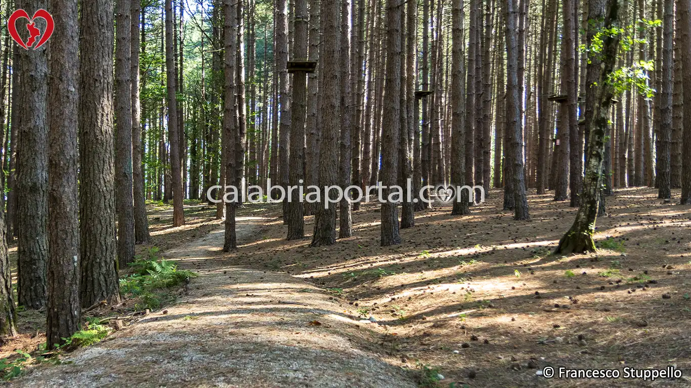 Scorcio del Potame Adventure Park Scorcio del Potame Adventure Park