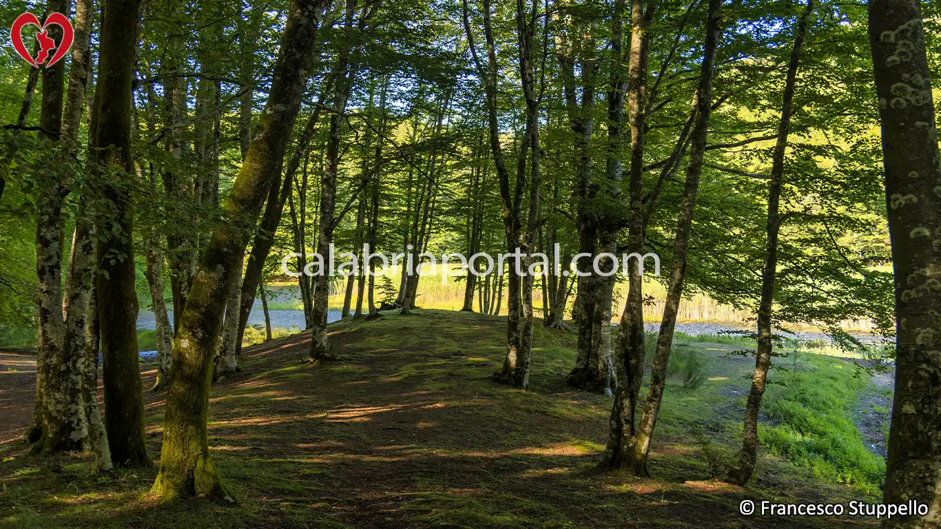 Il Lago dei Due Uomini a Fagnano Castello (CS) Il Lago dei Due Uomini a Fagnano Castello (CS)