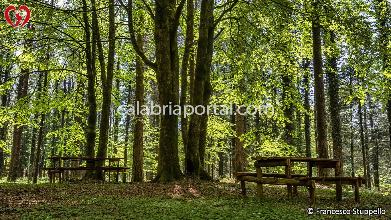 Il Lago della Paglia a Fagnano Castello (CS) Il Lago della Paglia a Fagnano Castello (CS)