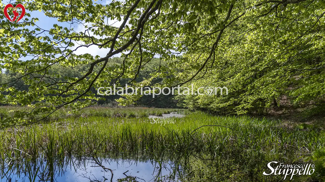 Lago Trifoglietti a Fagnano Castello Lago Trifoglietti a Fagnano Castello