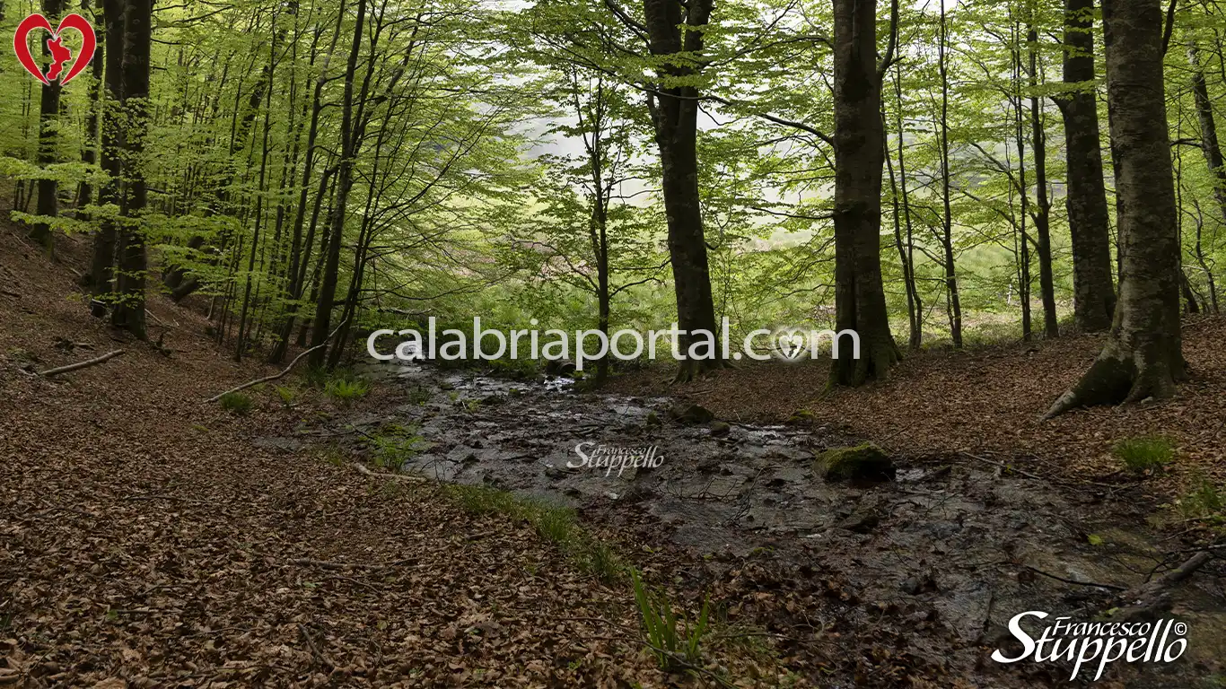 Sorgente che alimenta in primavera il Lago Trifoglietti Sorgente che alimenta in primavera il Lago Trifoglietti