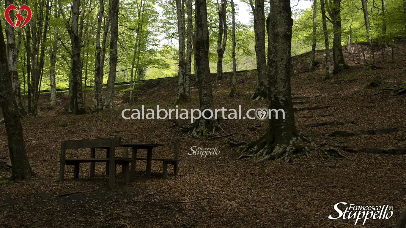 Area picnic del Lago Trifoglietti a Fagnano Castello Area picnic del Lago Trifoglietti a Fagnano Castello