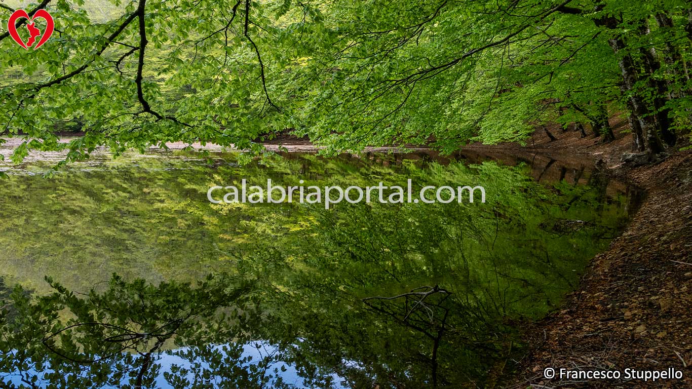 I colori primaverili del Lago dei Due Uomini a Fagnano Castello (CS) I colori primaverili del Lago dei Due Uomini a Fagnano Castello (CS)