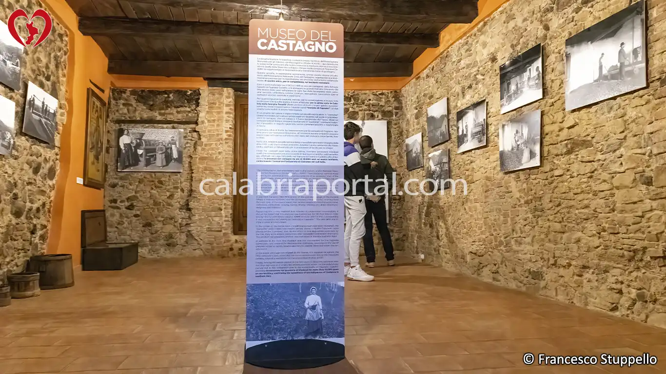 Fagnano Castello (CS): Museo del Castagno
