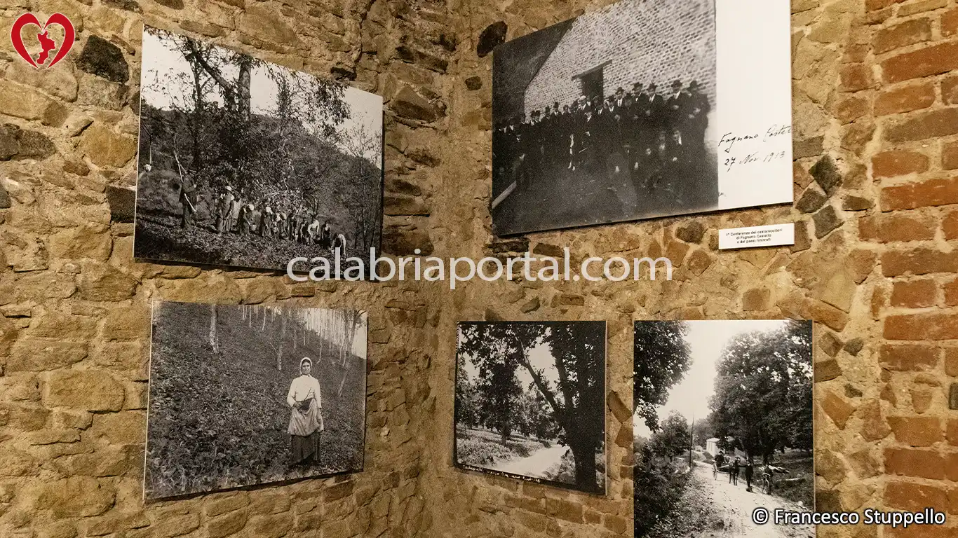 Museo del Castagno a Fagnano Castello - Calabria Museo del Castagno a Fagnano Castello - Calabria