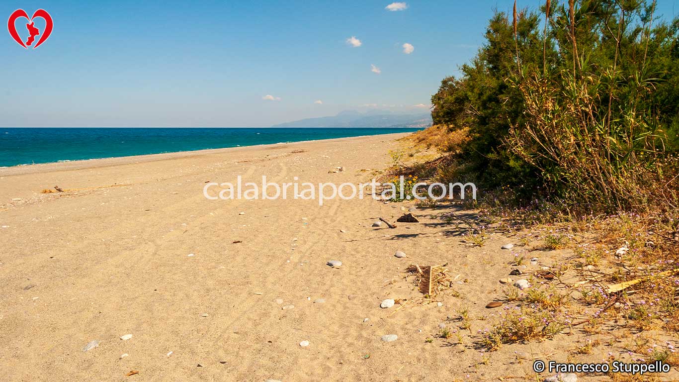 Spiagge di Longobardi Marina (CS) Spiagge di Longobardi Marina (CS)