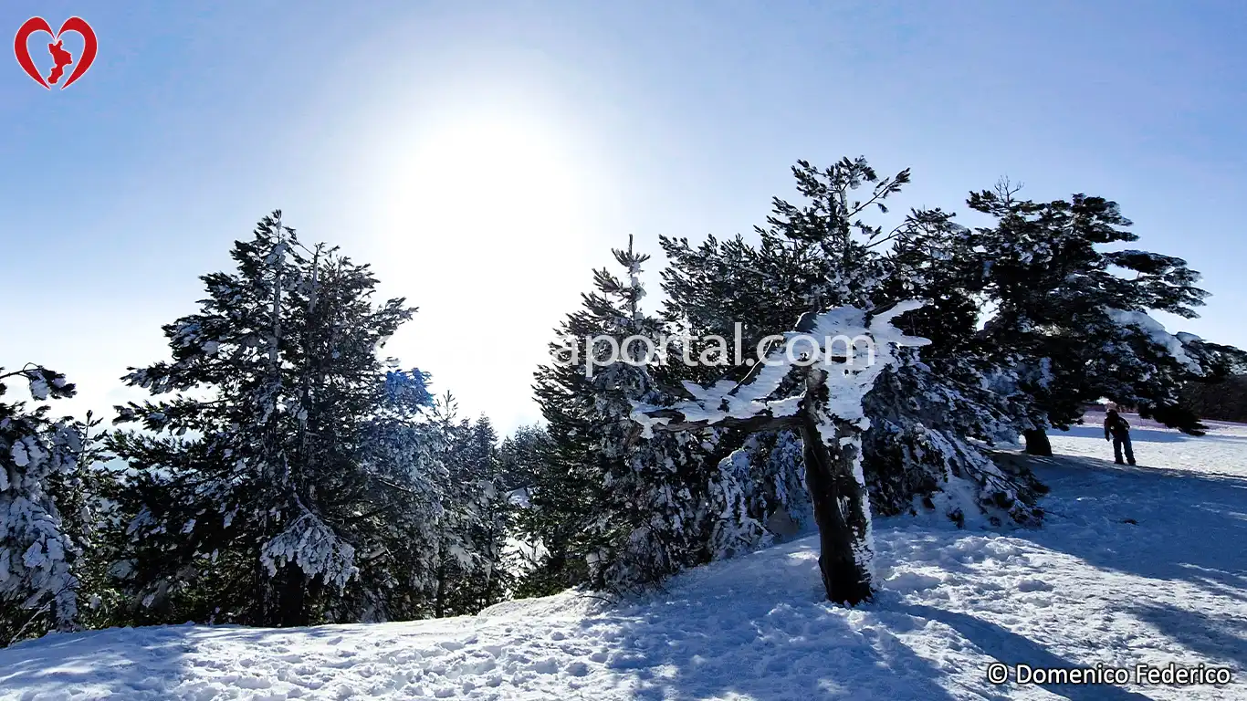 Impianti di Risalita a Lorica (CS)