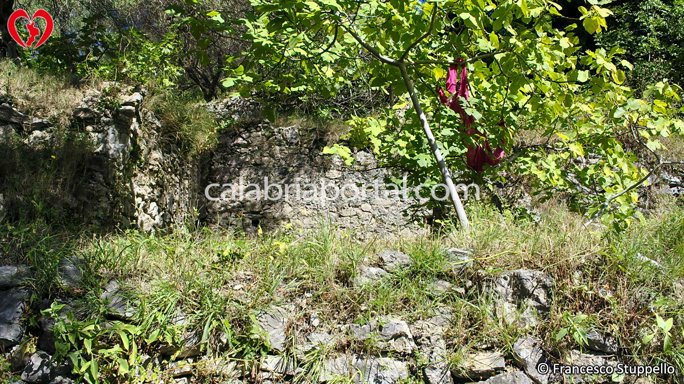 Ruderi dell'Antico Borgo di Mercuri a Orsomarso (CS) Ruderi dell'Antico Borgo di Mercuri a Orsomarso (CS)