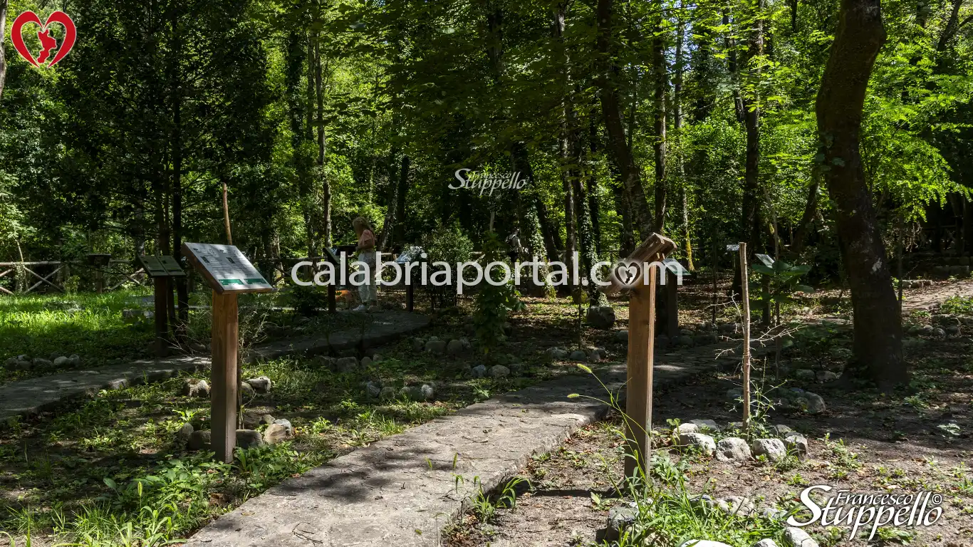 Scorcio del Giardino delle Piante Officinali della Riserva Naturale Orientata "Valle del Fiume Argentino"