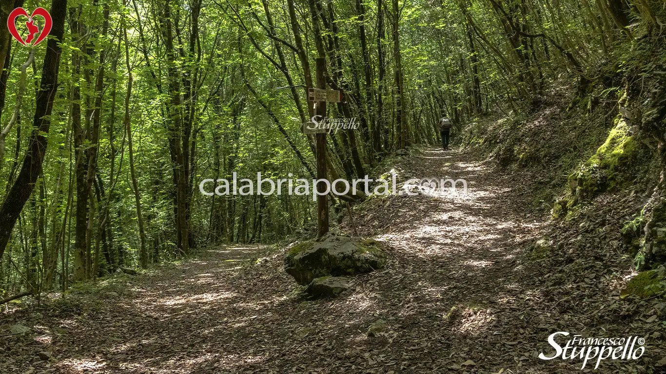 Bivio di Pantagnoli per il Valico di Castel di San Noceto