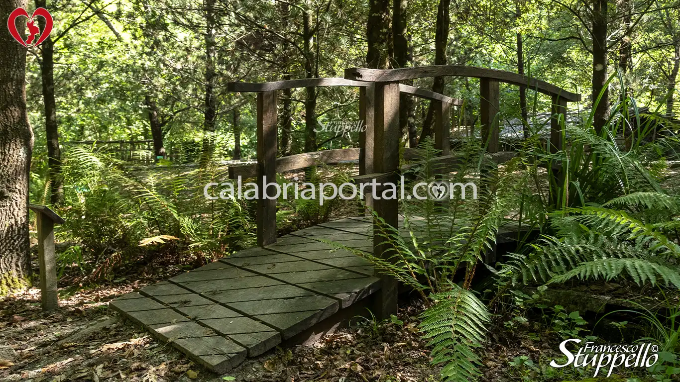 Scorcio dell'Arboreto Didattico della Riserva Naturale Orientata "Valle del Fiume Argentino"
