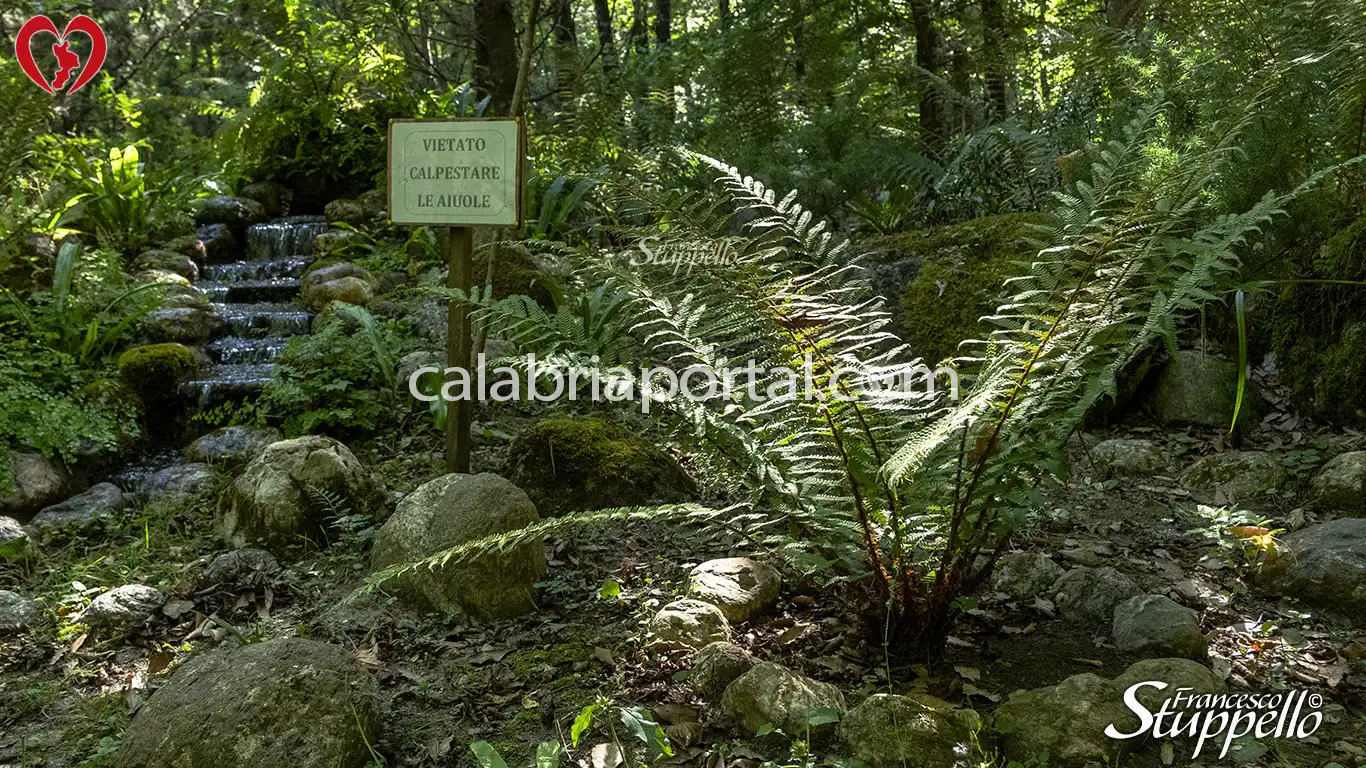 Scorcio dell'Arboreto Didattico della Riserva Naturale Orientata "Valle del Fiume Argentino"