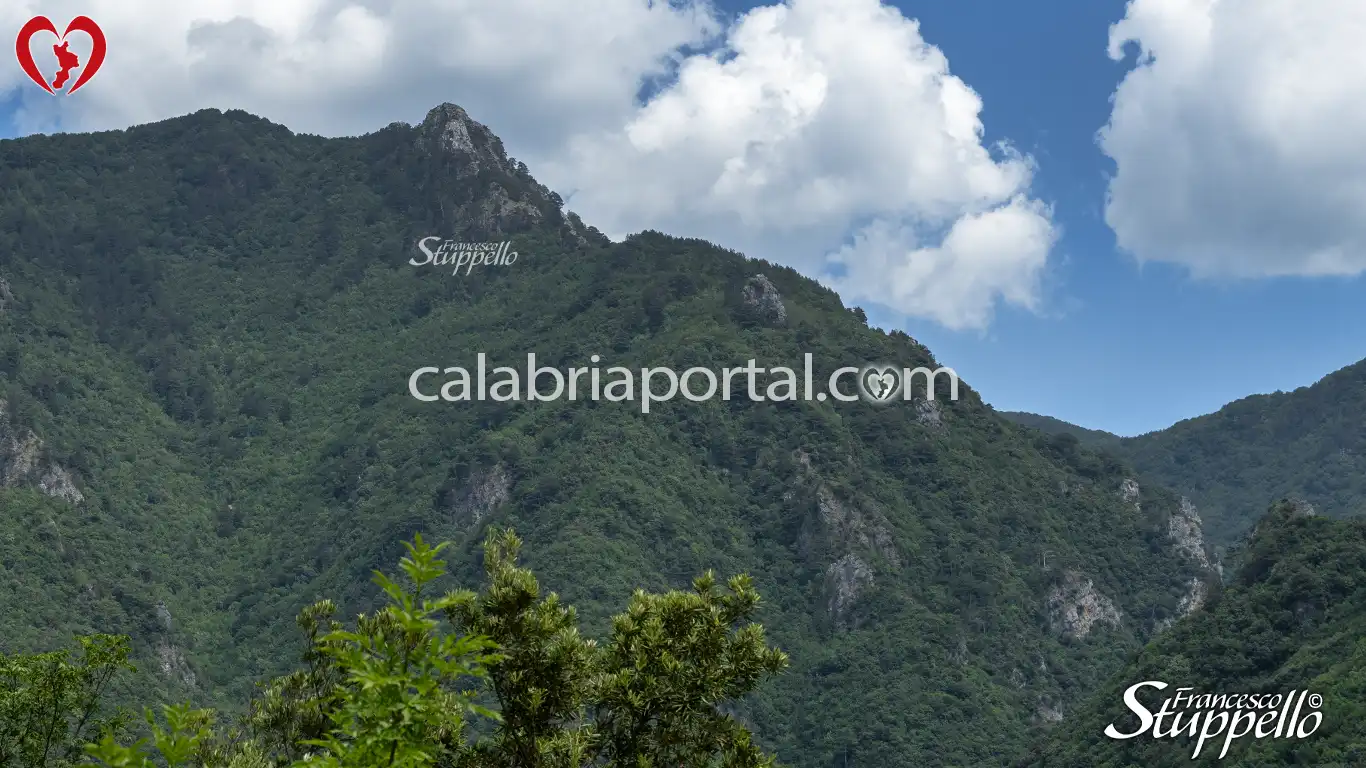 Alture del Golfo della Serra in cui dimorano i Pini Loricati