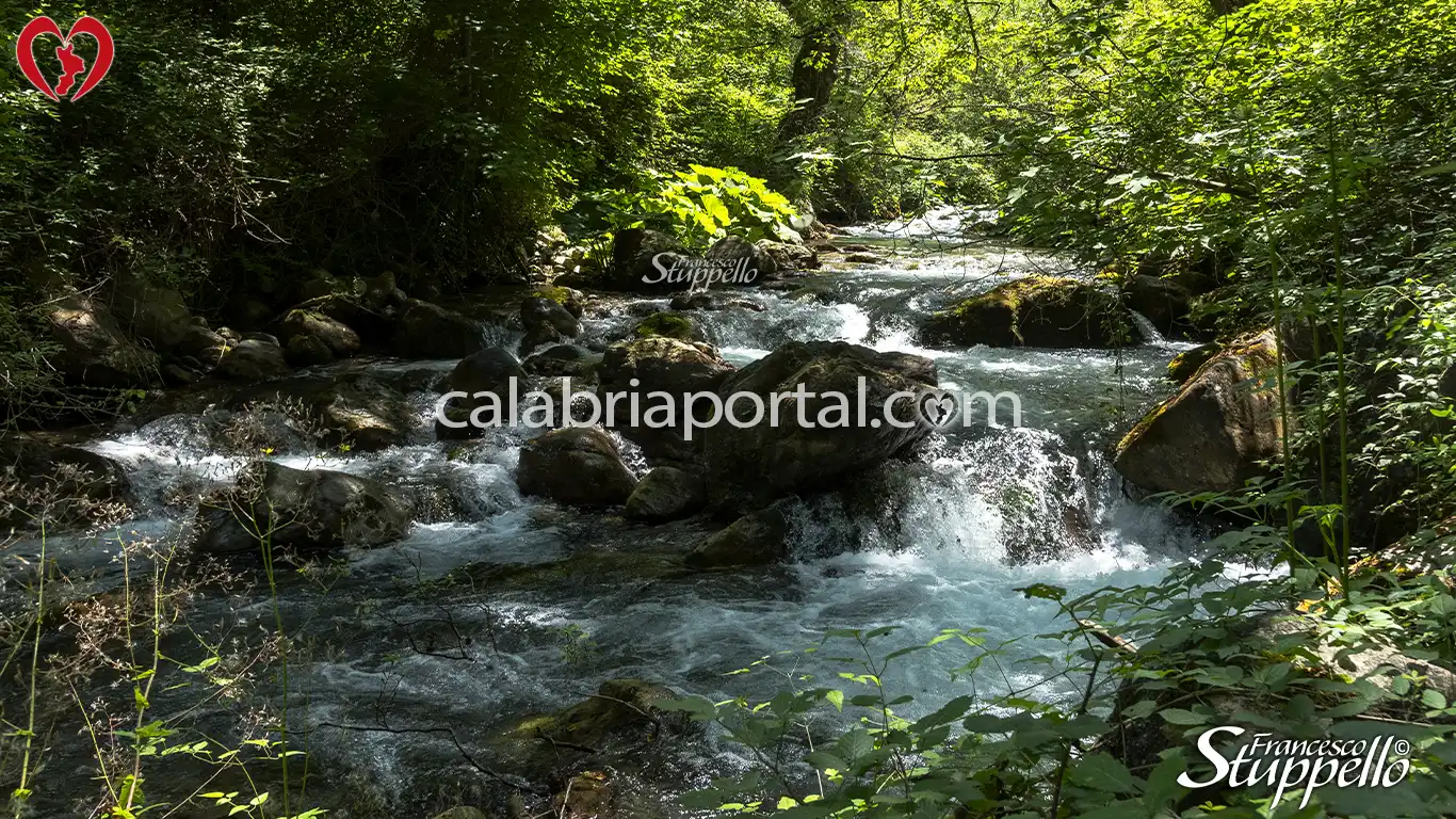 Riserva Naturale Orientata "Valle del Fiume Argentino"