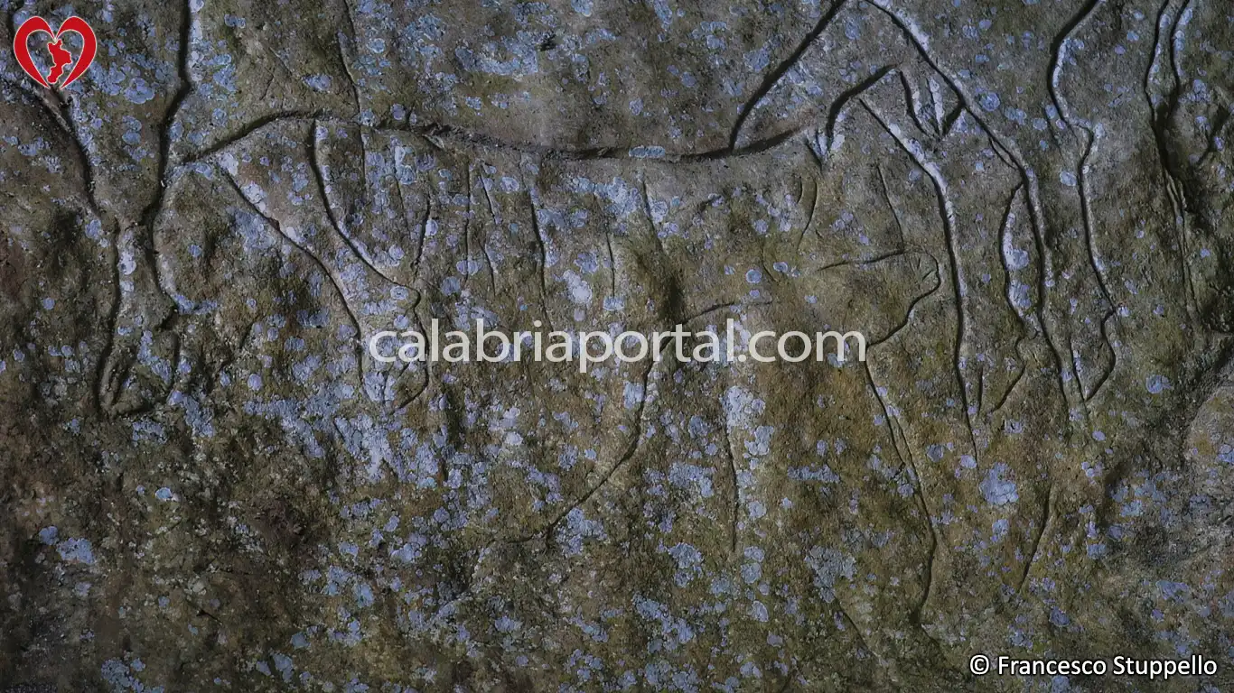 Graffito dell'Uro presso la Grotta del Romito a Papasidero (CS)
